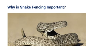 Why is Snake Fencing Important