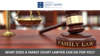 What Does a Family Court Lawyer Can Do for You?