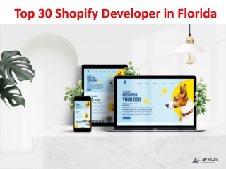 Top 30 Shopify Developer in Florida