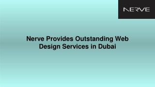 Nerve Provides Outstanding Web Design Services in Dubai