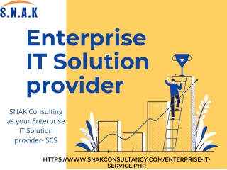 SNAK Consulting as your Enterprise IT Solution provider- SCS