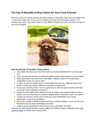 The Top 10 Benefits of Dog Collars for Your Furry Friends