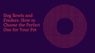 Dog Bowls and Feeders How to Choose the Perfect One for Your Pet