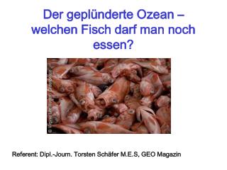 Der geplünderte Ozean – welchen Fisch darf man noch essen?