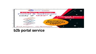 b2b portal service