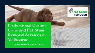 Professional Carpet Urine and Pet Stain Removal Services in Melbourne