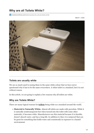 meeteverything.com-Why are all Toilets White