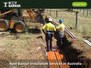 Root Barrier Installation Services in Australia