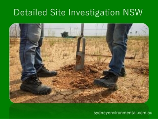 Detailed Site Investigation NSW