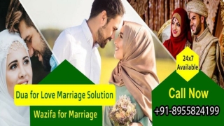 love marriage specialist  91-8955824199