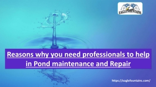 Reasons why you need professionals to help in Pond maintenance and Repair