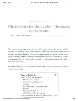 Why Do Dogs Lick Their Beds - The Causes and Solutions!