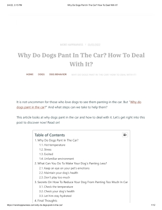 Why Do Dogs Pant In The Car - How To Deal With It_