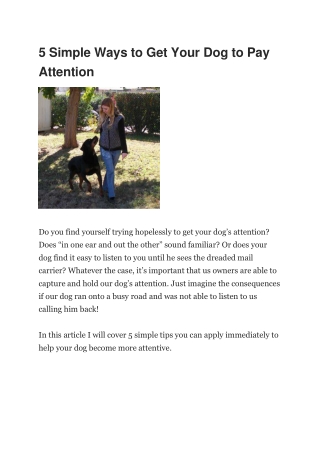 5 Simple Ways to Get Your Dog to Pay Attention