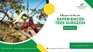 3 Reasons To Hire An Experienced Tree Surgeon For Tree Services