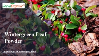 Wintergreen Leaf Powder