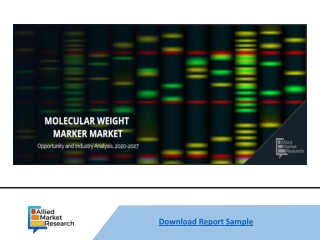 Molecular Weight Marker Market