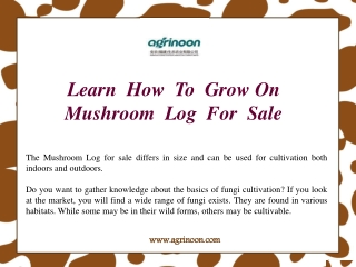 Learn  How  To  Grow On  Mushroom  Log  For  Sale