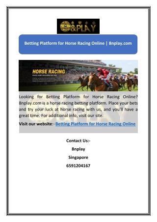 Betting Platform for Horse Racing Online | 8nplay.com