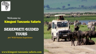 Serengeti Guided Tours