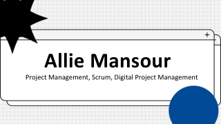 Allie Mansour - An Accomplished Professional From Canada