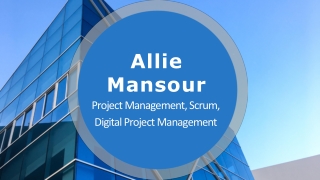 Allie Mansour - An Excellent Researcher and Strategist