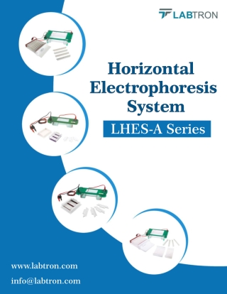 Horizontal-Electrophoresis-System-LHES
