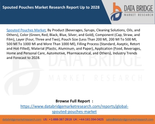 Spouted Pouches Market Research Report Up to 2028