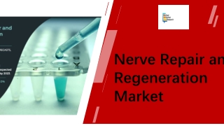 Nerve Repair and Regeneration Market Size PPT