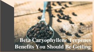 Beta Caryophyllene Terpenes Benefits You Should Be Getting