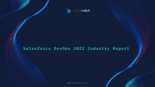 Salesforce DevOps 2022 Industry Report