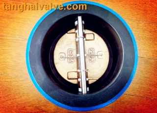 Dual plate check valve  Professional manufacturer