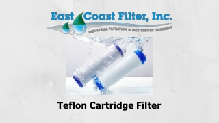 Teflon Cartridge Filter