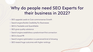 Why do people need SEO Experts for their business in 2022