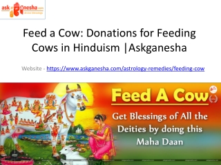 Feed a Cow Donations for Feeding Cows in Hinduism