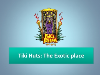 Tiki Huts The Exotic Place