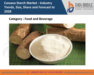 Cassava Starch