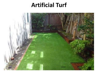 Artificial Turf