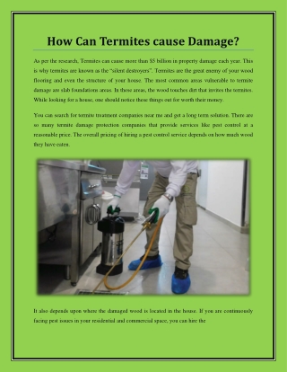 Hire Superior Termite And Pest Control In Dammam