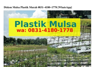 Diskon Mulsa Plastik Murah Ö8ᣮ1~ㄐ18Ö~1ᜪᜪ8[WA]