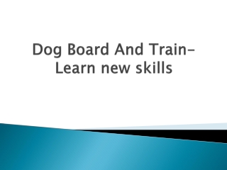 Dog-Board-And-Train-Learn-new-skills