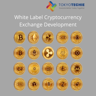 White Label Cryptocurrency Exchange Development