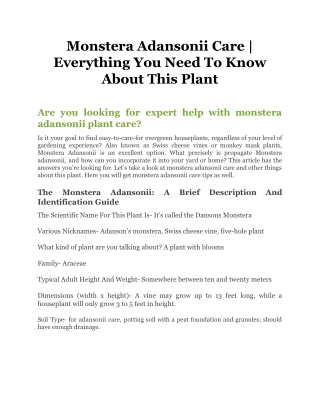 Monstera Adansonii Care _ Everything You Need To Know About This Plant