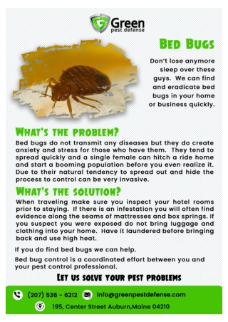 Lewiston exterminator | portland pest control