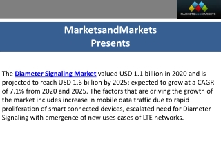 Diameter Signaling Market Size, Analysis and Forecast 2025