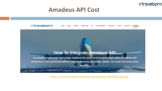 Amadeus API Cost