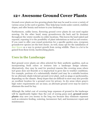 12  Awesome Ground Cover Plants