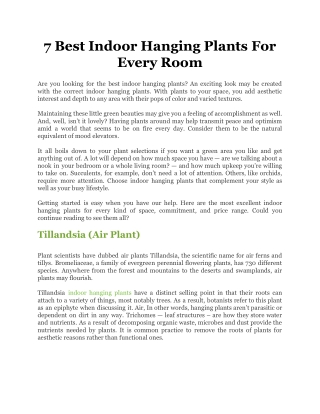 7 Best Indoor Hanging Plants For Every Room
