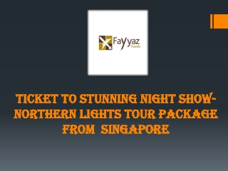 Ticket to Stunning Night Show- Northern Lights tour package from  Singapore