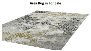 Area Rug in Supplier